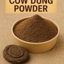 Organic cow dung cakes